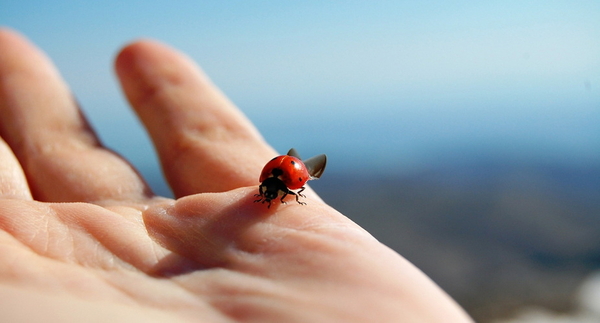 Das persönliche Lebens-Glück finden 